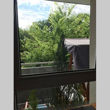 ורוצלב Apartment In Green Area מראה חיצוני תמונה